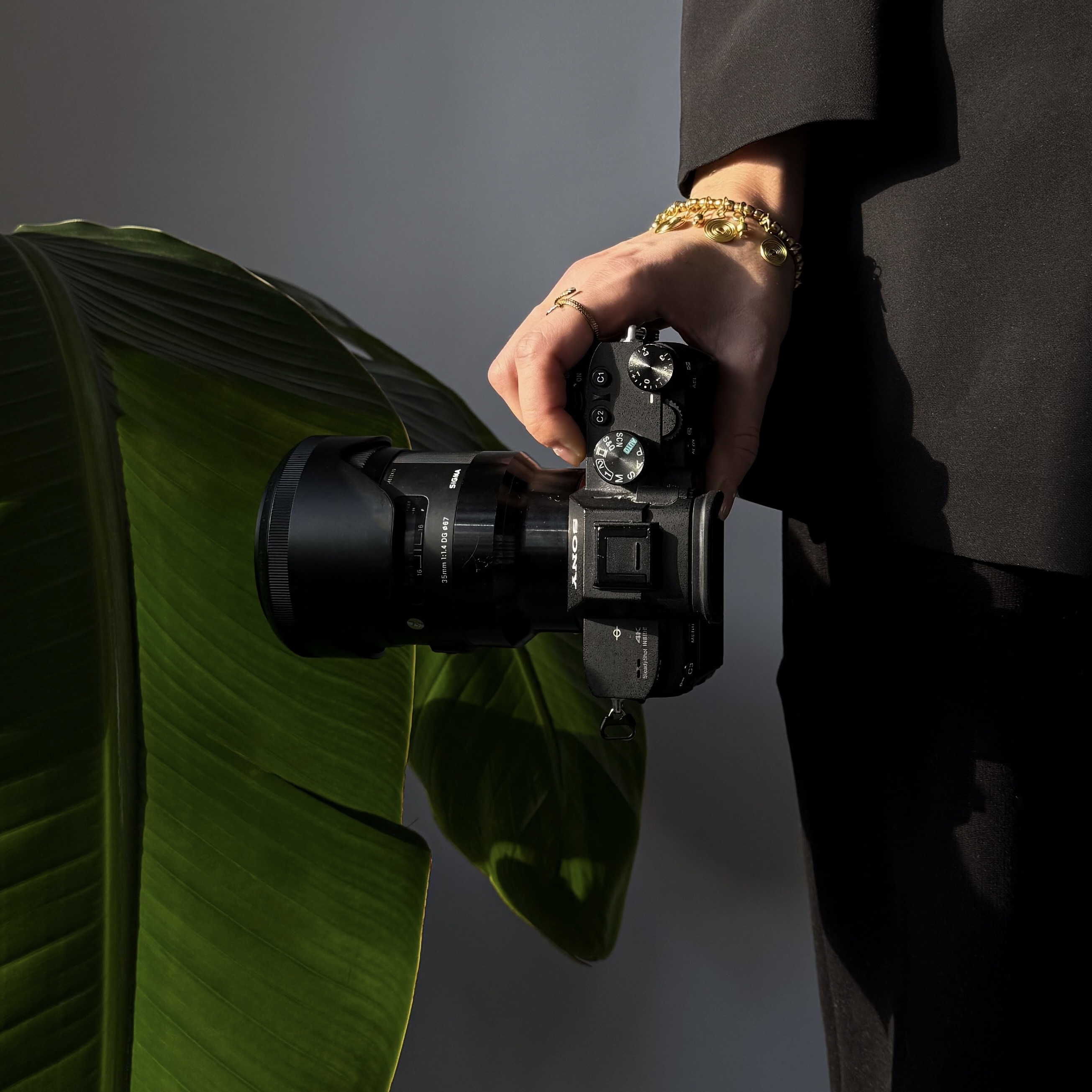 Eine Hand hält eine Kamera. Im Hintergrund eine Pflanze.